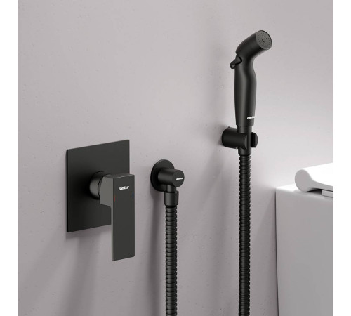 Смеситель с гигиеническим душем AM.PM Gala встраиваемый черный матовый F537510300