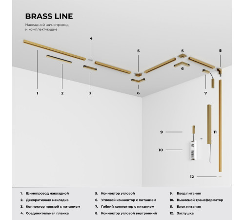 Brass Line Прямой коннектор латунь 85008/00