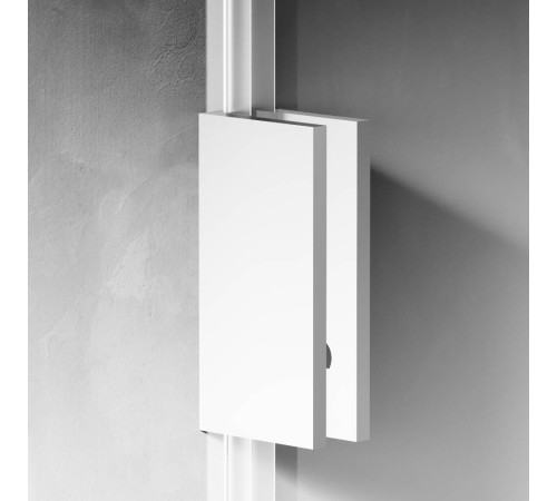 Душевая перегородка AM.PM Walk In 110x195 см W94WI-110-F1-MTE