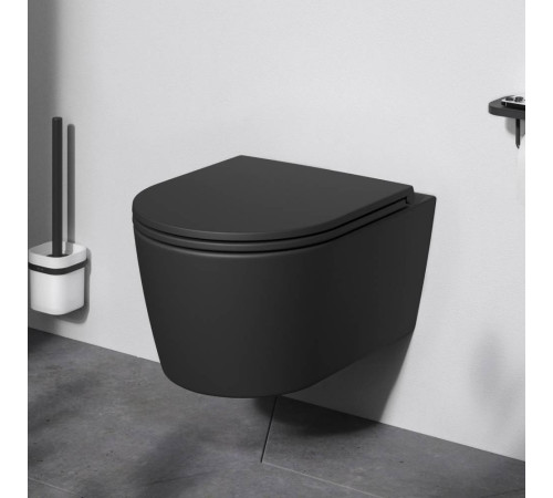 Унитаз подвесной AM.PM Func FlashClean с сиденьем микролифт матовый C8F1700MBSC