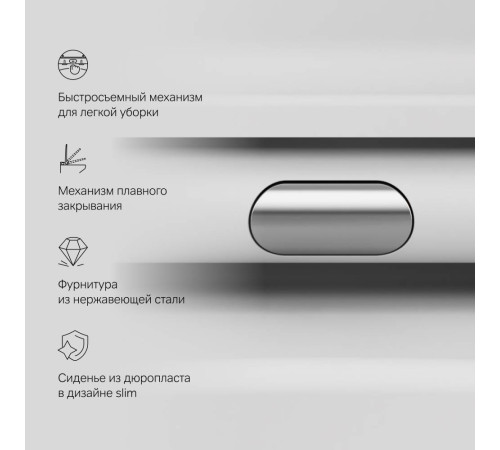 Унитаз подвесной AM.PM Func FlashClean с сиденьем микролифт матовый C8F1700MWSC