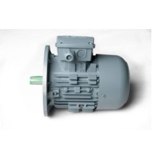 Двигатель GOKCE 0,75 кВт 2800 об/мин 0253075