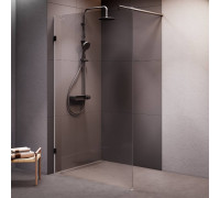 Душевая перегородка AM.PM Walk In 120x195 см W94WI-120-F1-BTE