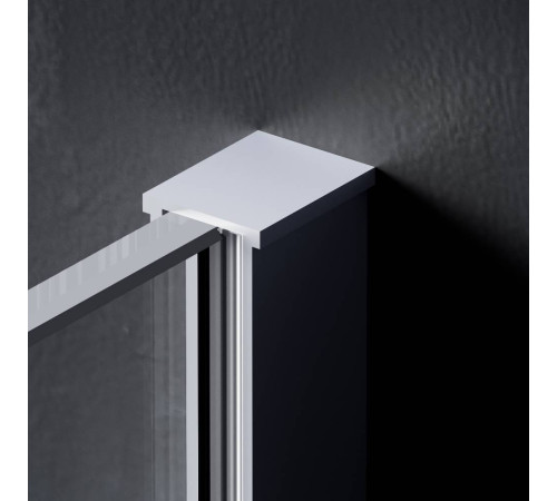 Душевая перегородка AM.PM Walk In 120x200 см W84WI-120-F1-MTE
