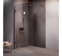 Душевая перегородка AM.PM Walk In 100х195 см W94WI-100-F1-MTE