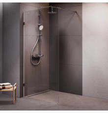 Душевая перегородка AM.PM Walk In 100х195 см W94WI-100-F1-MTE