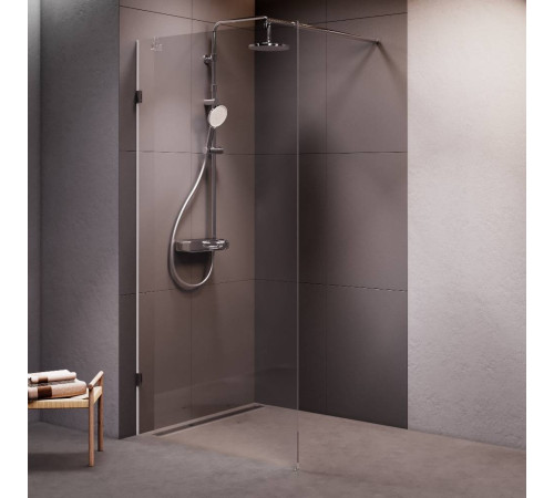 Душевая перегородка AM.PM Walk In 100х195 см W94WI-100-F1-MTE