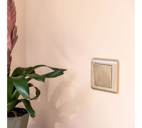 Клавиша для выключателя перекрестного (шампань рифленый) W1119010