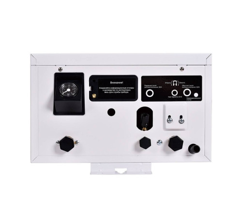 Электрический котел Thermex Boss 12 Wi-Fi White