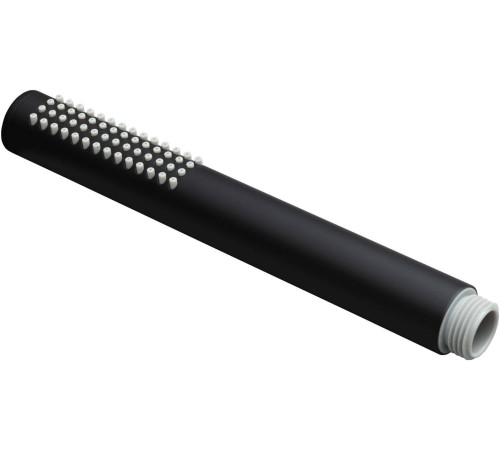 Душевая лейка Allen Brau Priority черный 5.31020-31