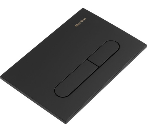 Клавиша смыва Allen Brau Project Color 23.1x15.7 см черный матовый 9.2PR01.31