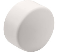 Заглушка полипропиленовая THERMOLIGHT PP-R 40 мм белая НС-1620484