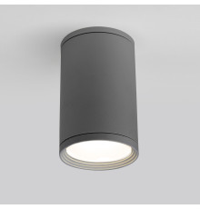 Уличный потолочный светильник Light IP65 35128/H серый