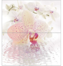 Панно из 2-х плиток Ceradim Orchid 50x45 см КПН16Orchid