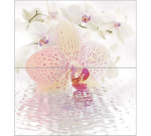 Панно из 2-х плиток Ceradim Orchid 50x45 см КПН16Orchid