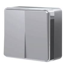 Выключатель двухклавишный Gallant серебряный W5020006