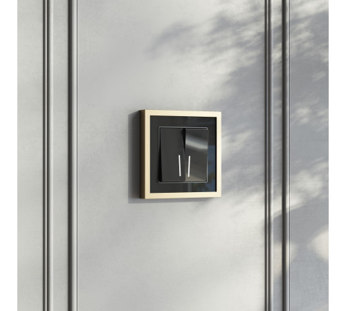 Выключатель двухклавишный проходной с подсветкой (черный акрил) W1122148