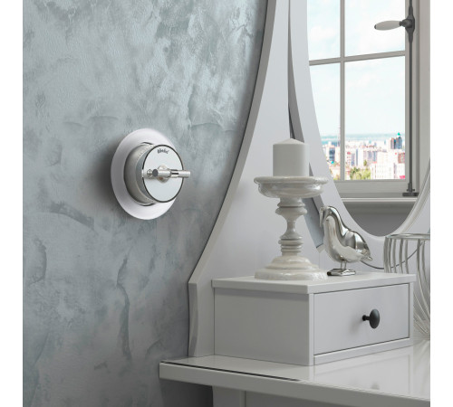 Выключатель на 4 положения двухклавишный Vintage серебро матовый/хром W5822054