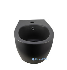 Биде подвесное Allen Brau Fantasy 510x363 мм антрацит 4.11006.AN