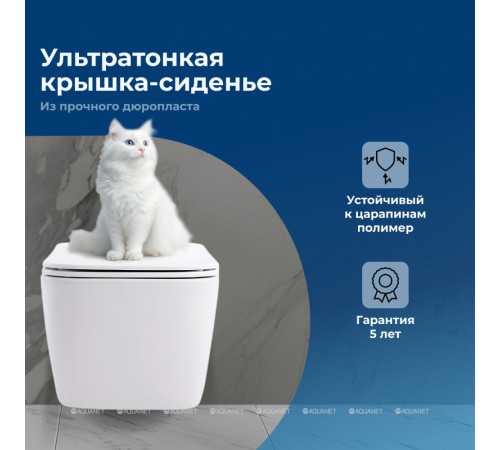 Унитаз подвесной Aquanet Tavr 2.0 W безободковый с сиденьем Soft Close 00243545