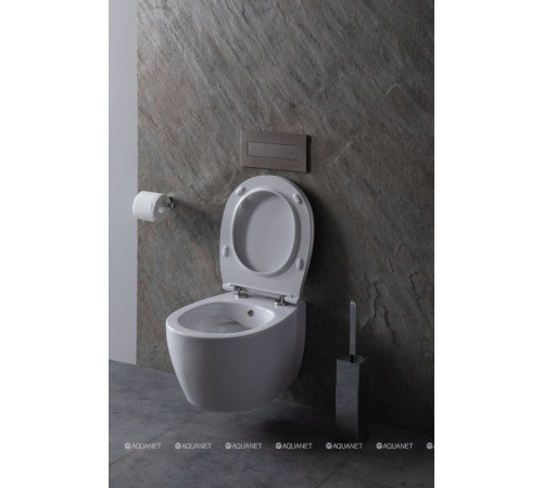 Сиденье для унитаза Allen Brau Fantasy Smartfix Soft-Close дюропласт белый 4.11005.20