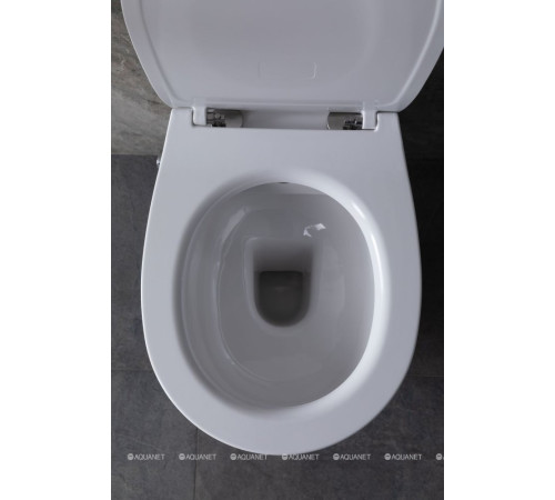 Сиденье для унитаза Allen Brau Fantasy Smartfix Soft-Close дюропласт белый 4.11005.20