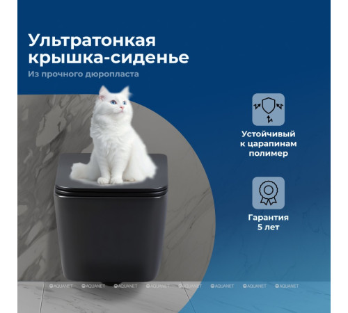 Унитаз подвесной Aquanet TAVR-W BW безободковый с сиденьем Soft Close черный матовый 00287011
