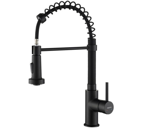 Смеситель для кухни Aquanet Европа профессиональный 2 jet матовый черный AQ1387MB