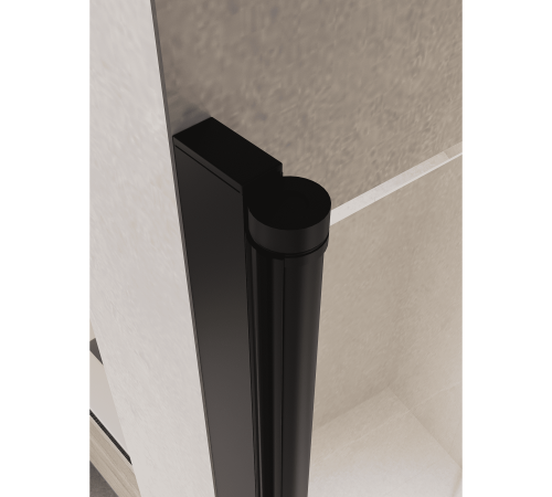 Душевая дверь RGW Passage PA-104B 700 мм маятниковая черный 060810407-14