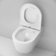 Унитаз подвесной AM.PM Func FlashClean с сиденьем микролифт C8F1701SC