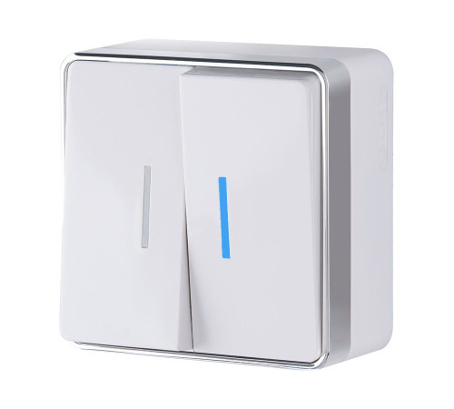 Выключатель двухклавишный с подсветкой Gallant белый W5020101