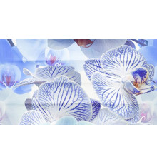 Панно Ceradim Vanda A 25х45 см КПН16VandaA