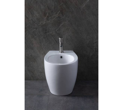 Биде напольное Allen Brau Fantasy белый 4.11008.20