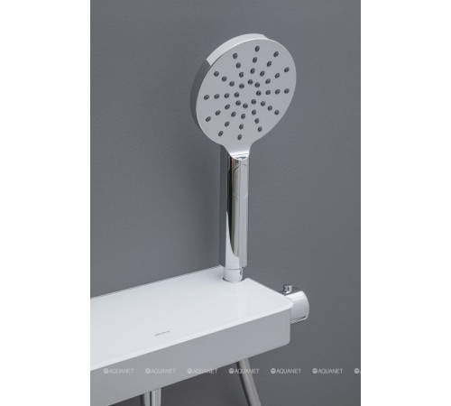 Душевая полка Allen Brau Fantasy с термостатом и ручным душем хром 5.11002-00