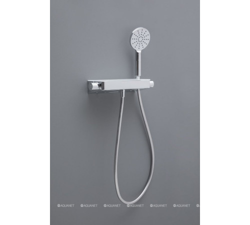 Душевая полка Allen Brau Fantasy с термостатом и ручным душем хром 5.11002-00