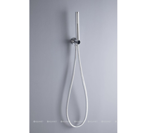 Душевой набор Allen Brau Priority ручной душ водорозетка шланг 1500 мм хром 5.31019-00