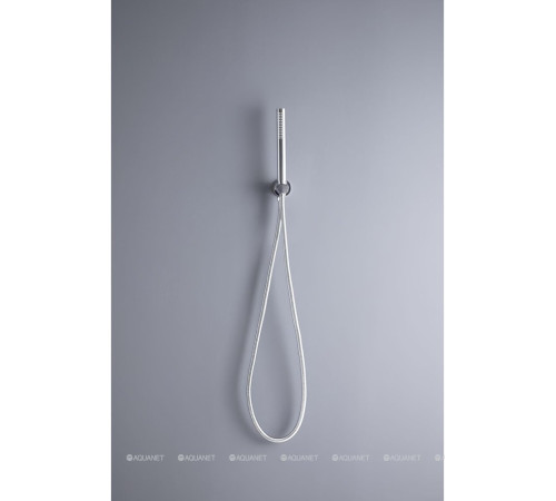 Душевой набор Allen Brau Priority ручной душ водорозетка шланг 1500 мм хром 5.31019-00