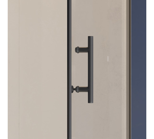 Душевая дверь RGW Hotel HO-011B 600 мм черный 350601106-14