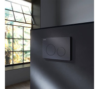 Клавиша для инсталляции механическая AM.PM PrimeFit L пластик черный матовый I090138