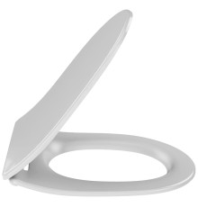 Крышка-сиденье для унитаза Jacob Delafon Odeon Rive Gauche тонкая микролифт E24891-00