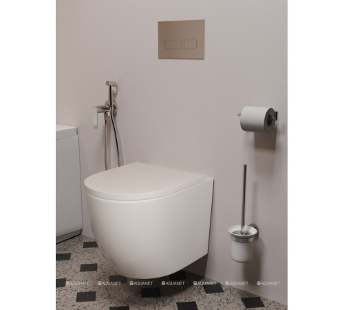 Кнопка смыва Aquanet AQ-PRO-01CR двойная хром 00346763