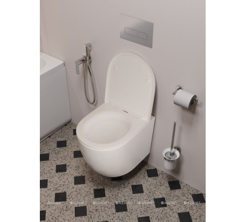 Кнопка смыва Aquanet AQ-PRO-01CR двойная хром 00346763