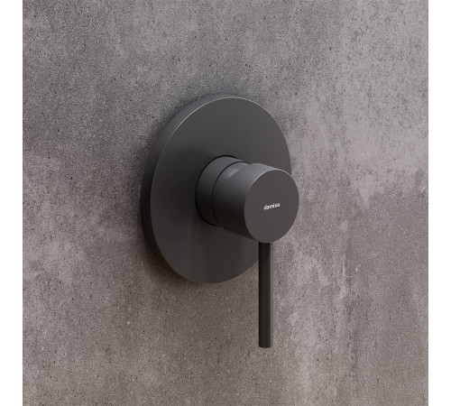 Смеситель для душа AM.PM Scandinavian Pure встраиваемый матовый черный 367500300