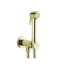 Гигиенический душ Bossini Paloma Brass золото E37005B021