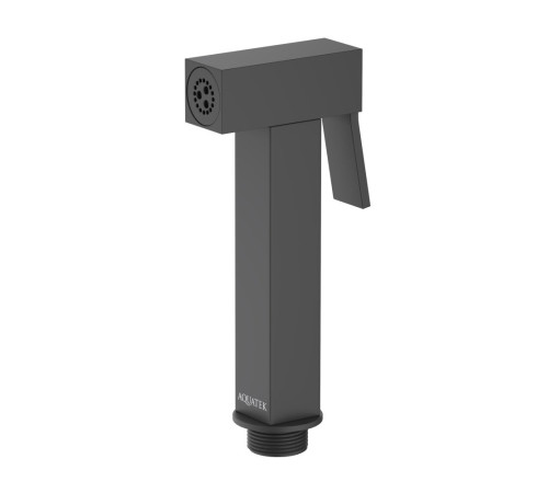 Гигиеническая лейка Aquanet матовый черный AQ2058MB