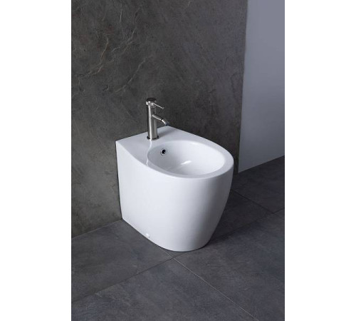 Биде напольное Allen Brau Fantasy белый 4.11008.20