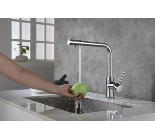 Смеситель для кухни Aquanet Европа под фильтр хром AQ1386CR