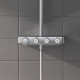 Душевая система с термостатом GROHE Euphoria SmartControl 310 DUO хром 26507000