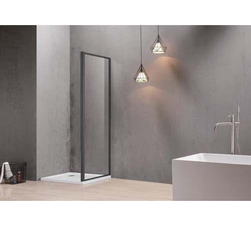 Душевая стенка неподвижная Aquanet Ari WA 10020BL 1000x2000 мм черный профиль AQ ARI WA 10020BL