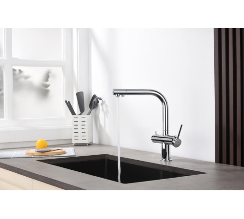 Смеситель для кухни Aquanet Европа под фильтр хром AQ1385CR